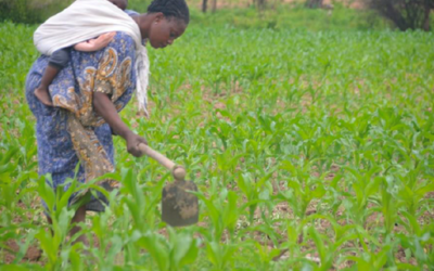 March 2026 Newsletter