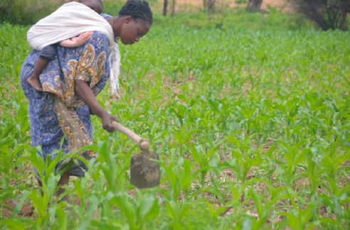 March 2026 Newsletter